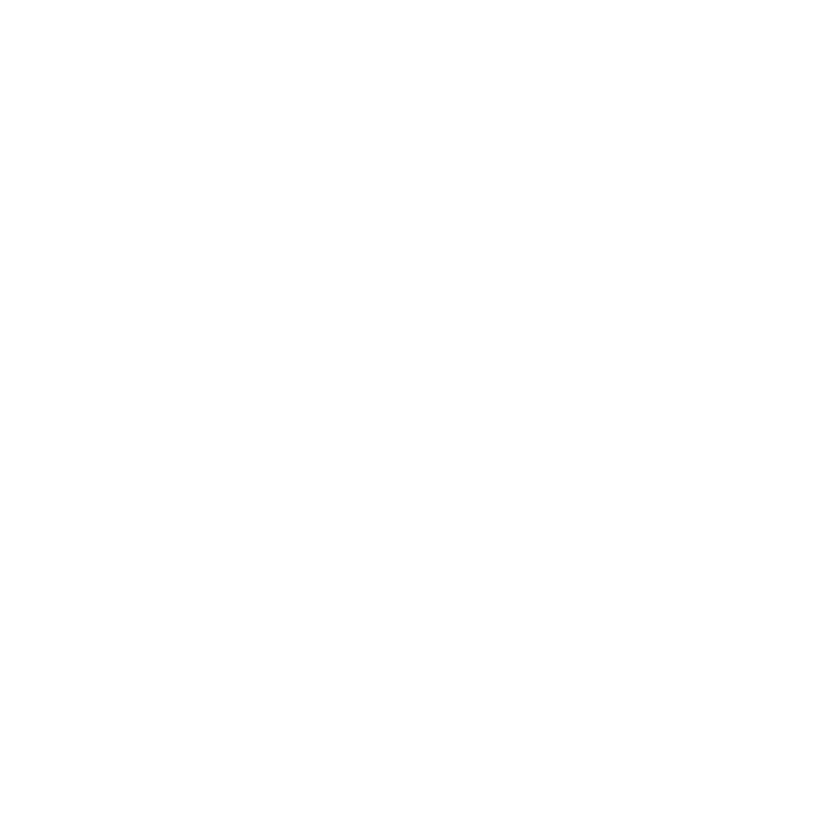 Palmr Palm Tree Logo