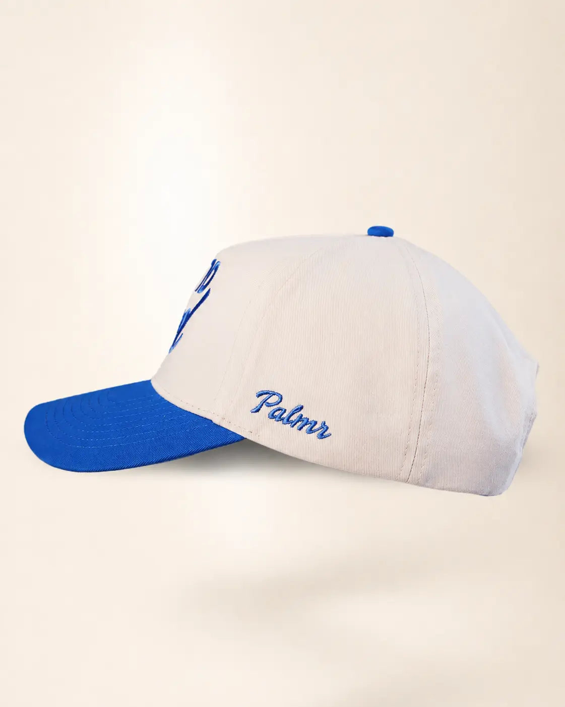 The T1D Dad Heritage Hat (Blue)