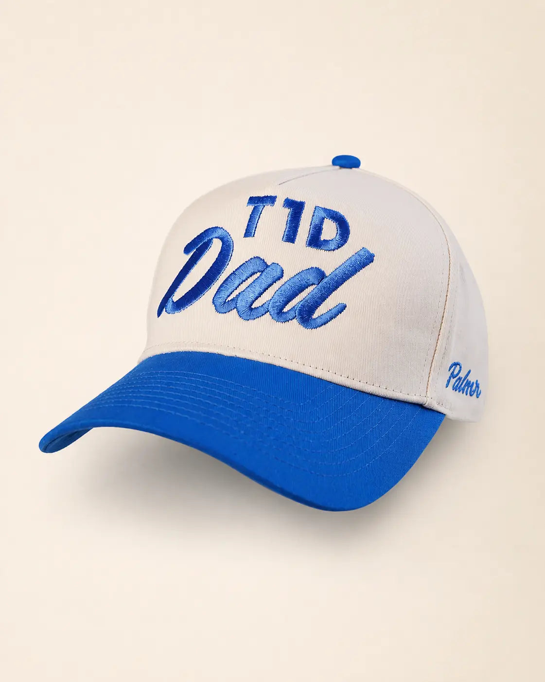 The T1D Dad Heritage Hat (Blue)