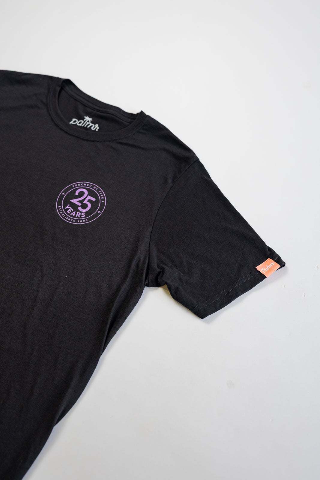 The 25 Years Tee — view 6 | Palmr Style