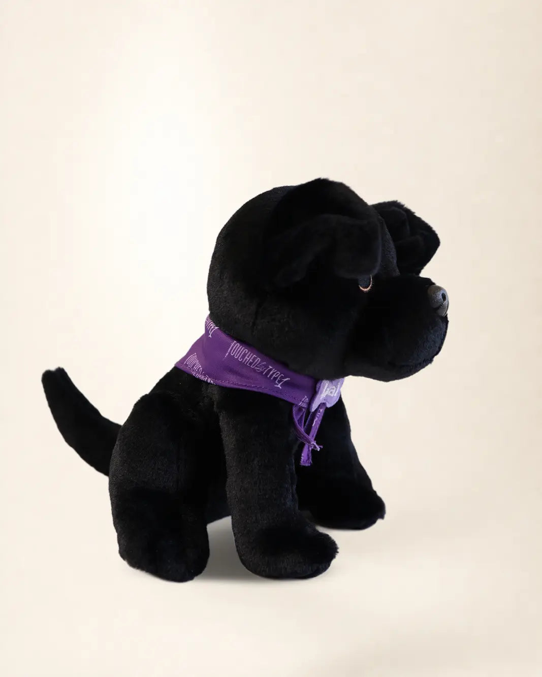 Basal Dog Plush, a black Labrador plush wearing a purple Touched By Type 1 bandana and a Basal name tag