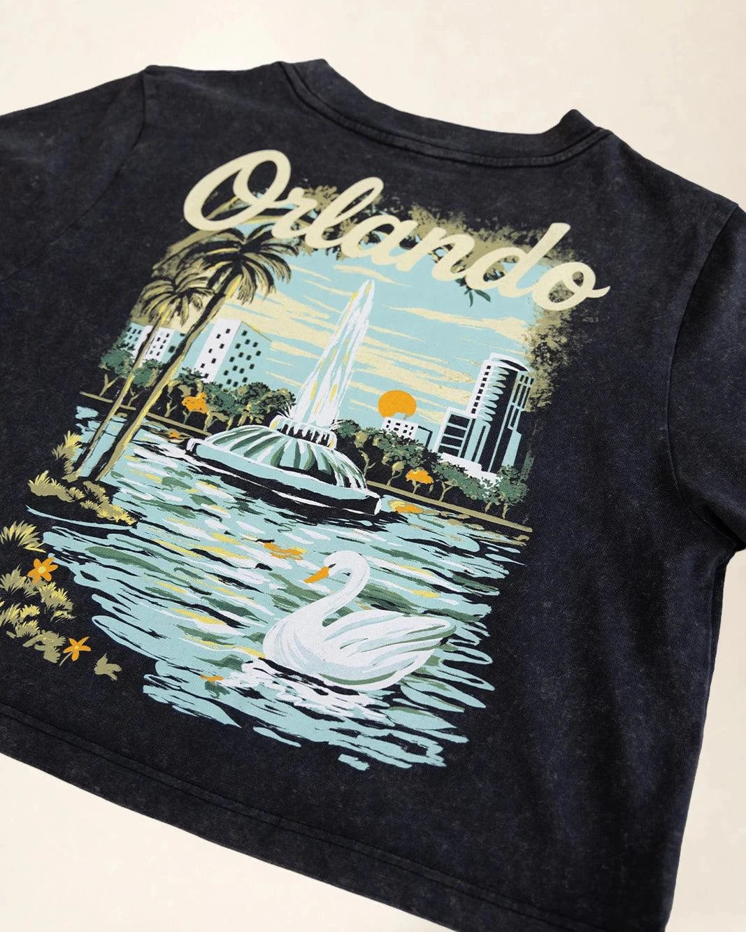 Black crop t-shirt showcasing Orlando's Owala's lake illustration