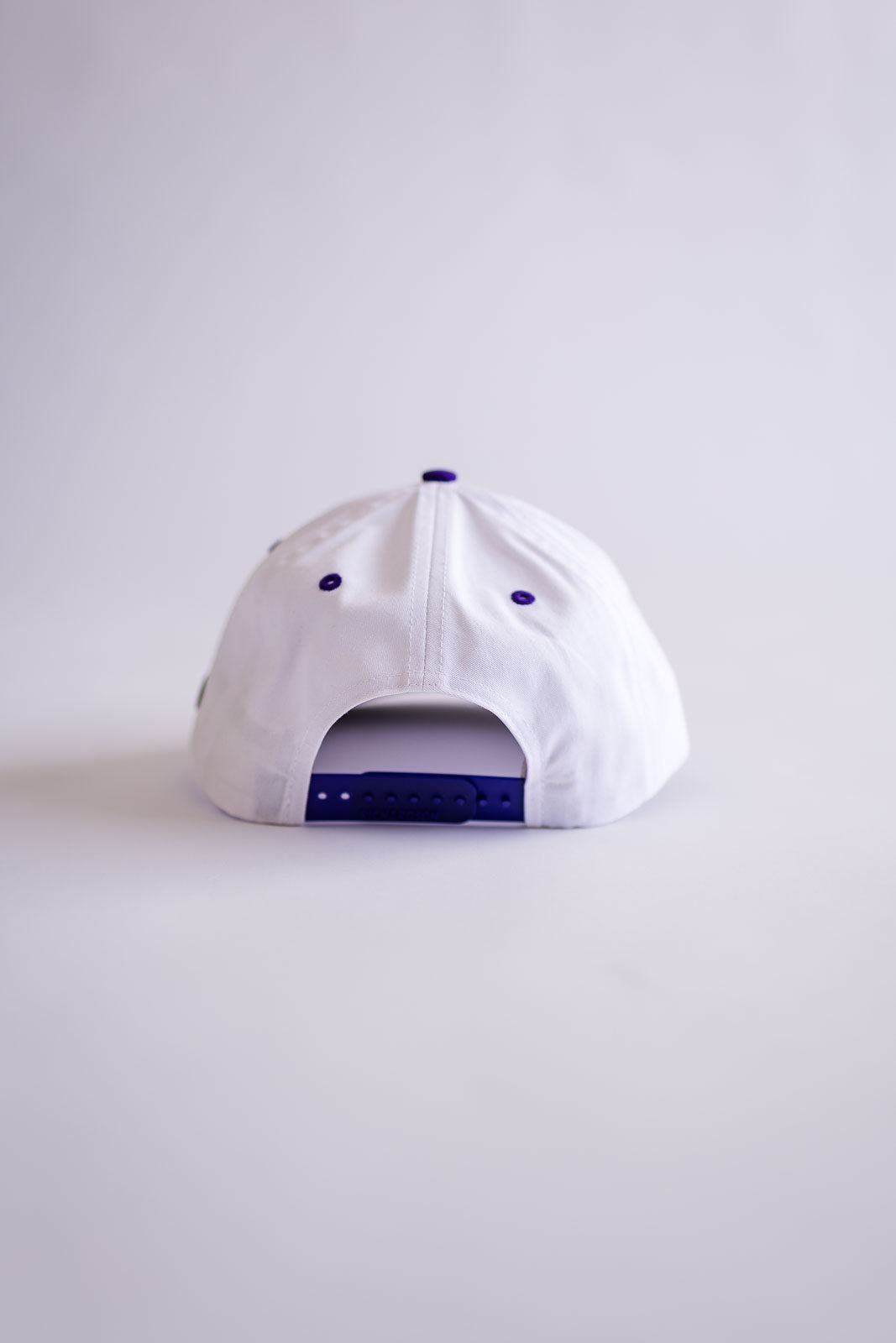 Palmr Style TBT1 T1D Strong Hat Mens