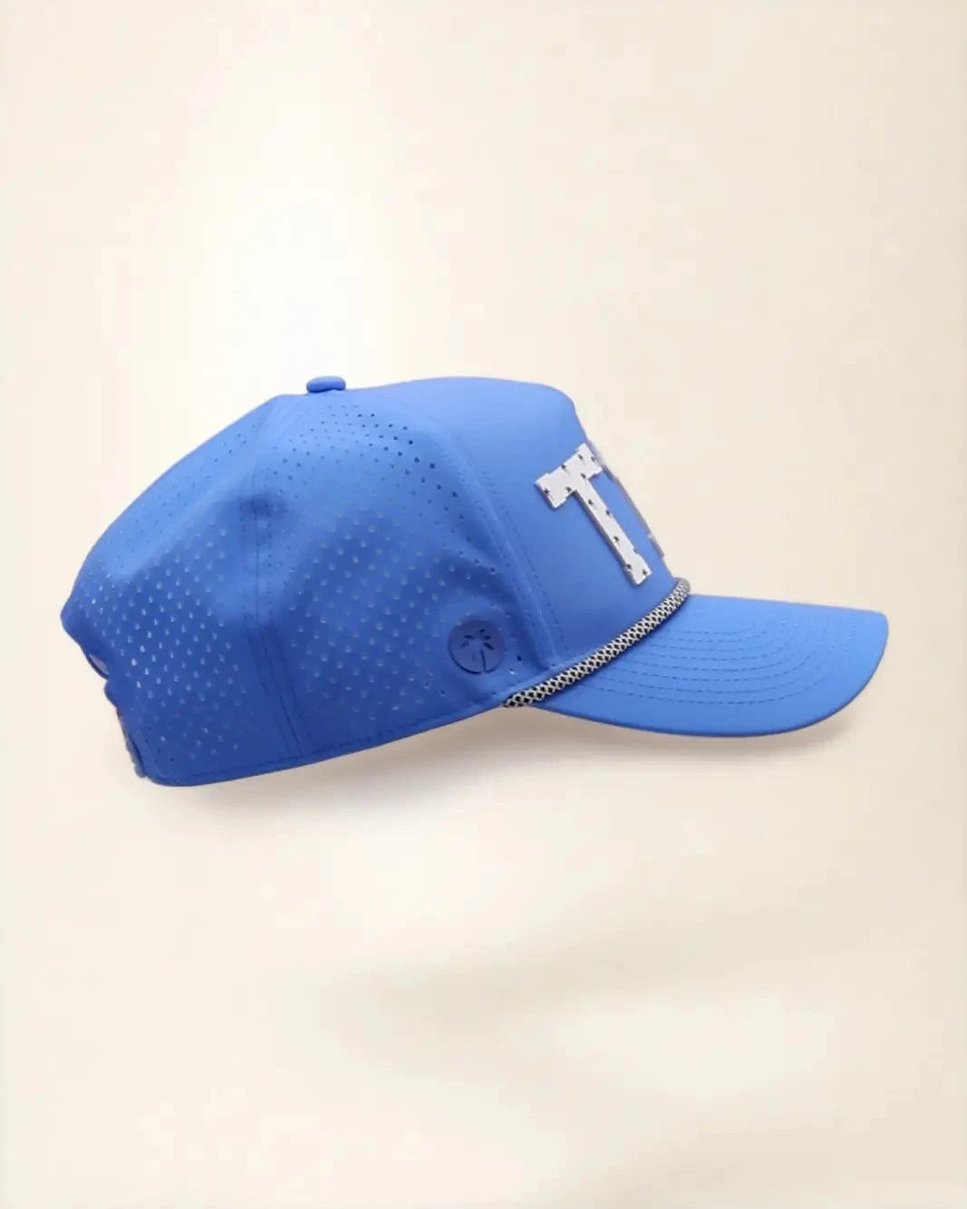 The T1D Signature Hat (Blue)