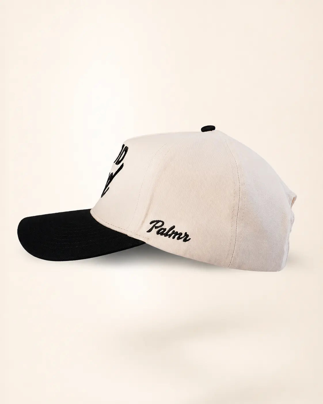 The T1D Dad Heritage Hat (Black)