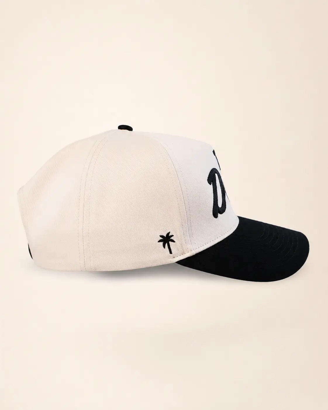 The T1D Dad Heritage Hat (Black)