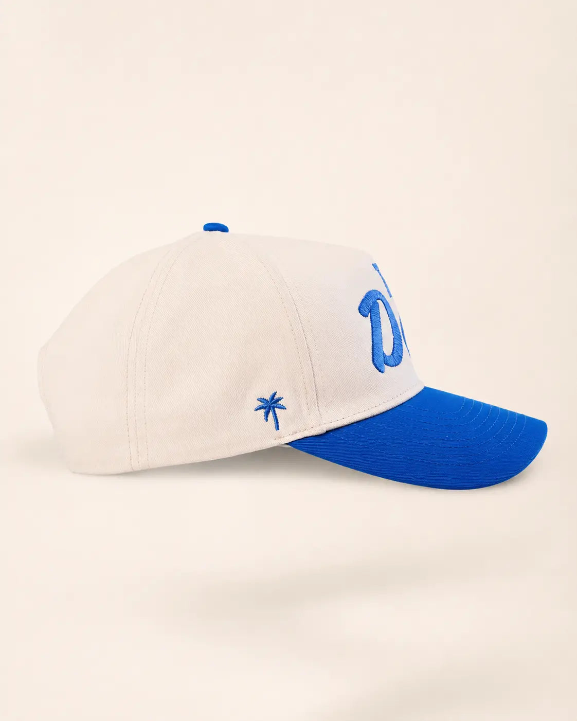 The T1D Dad Heritage Hat (Blue)