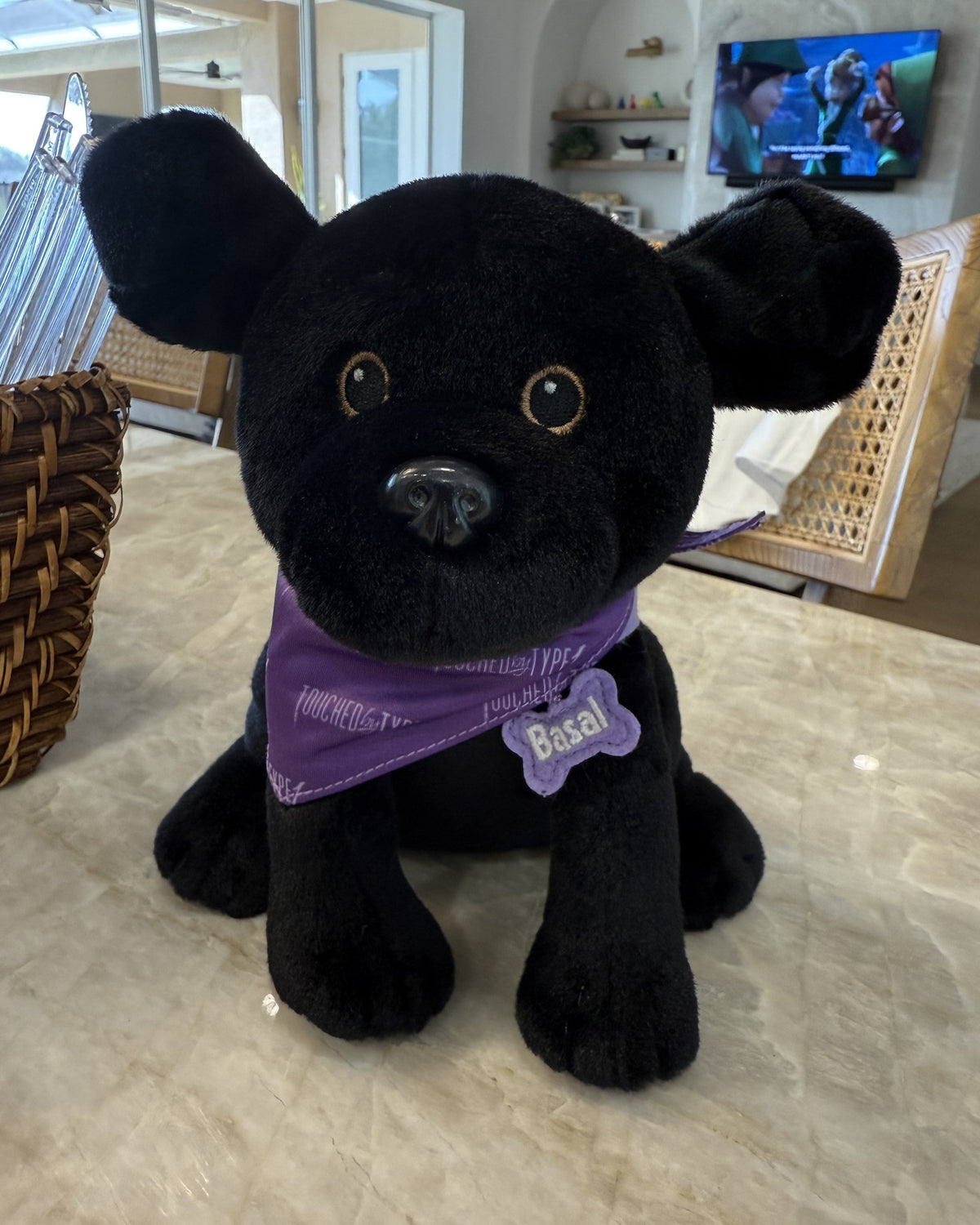 Basal Dog Plush, a black Labrador plush wearing a purple Touched By Type 1 bandana and a Basal name tag
