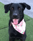 The real Basal wearing her pink Basal bandana