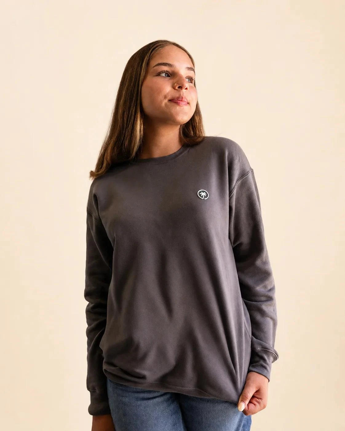 The Cloud Embrace Crewneck Sweatshirt - Charcoal — view 6 | Palmr Style